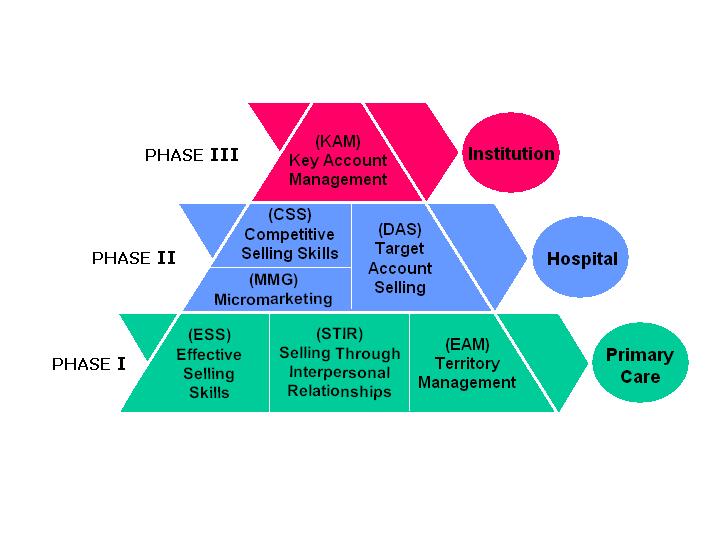 Medical Academy phases