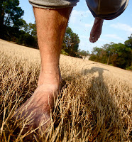barefoot runner